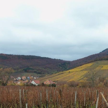 Apartment Route Du Vin Centre Alsace Orschwiller Szoba fotó