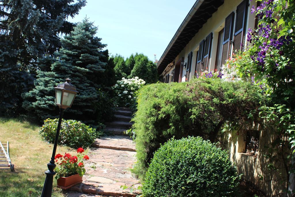 Apartment Route Du Vin Centre Alsace Orschwiller Szoba fotó